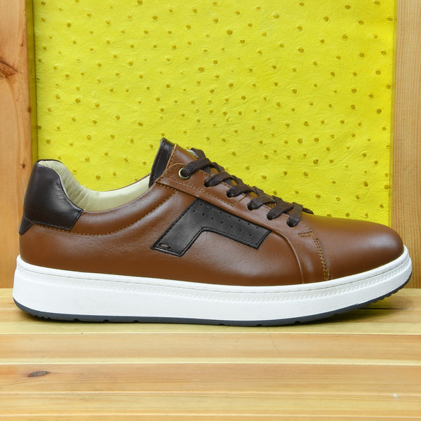033 Nestio Camel