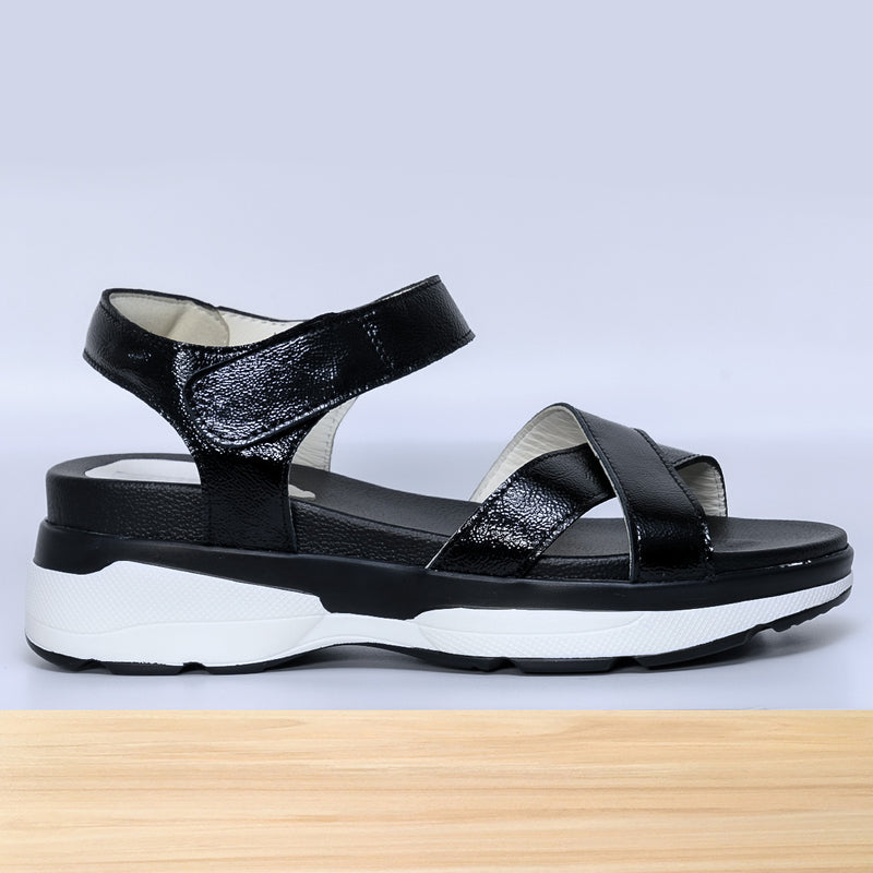 036f Siena Noir Verni