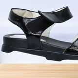 036f Siena Noir Verni
