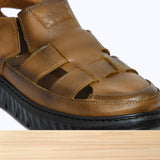 122S Davin Camel