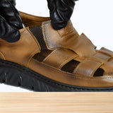 122S Davin Camel