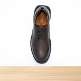 131 Aristo Marron