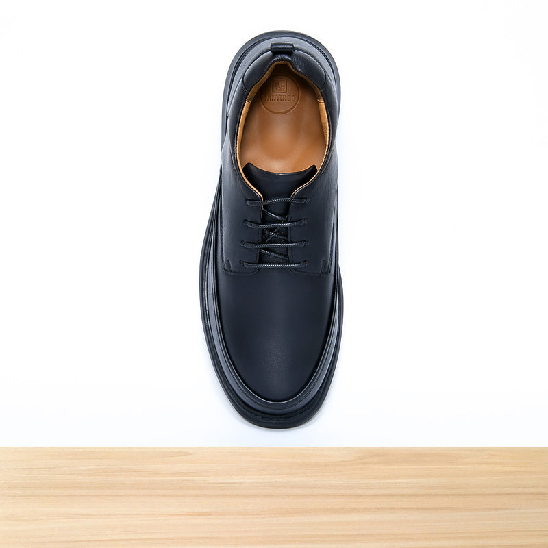 131 Aristo Noir