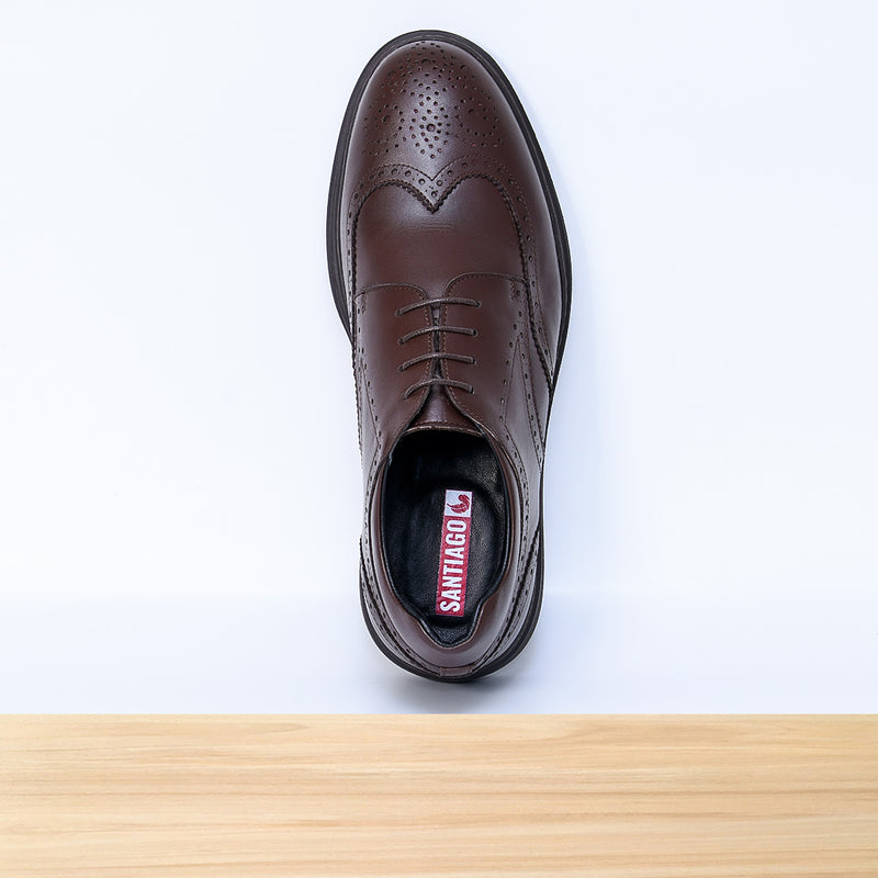 140 Plume Marron FL
