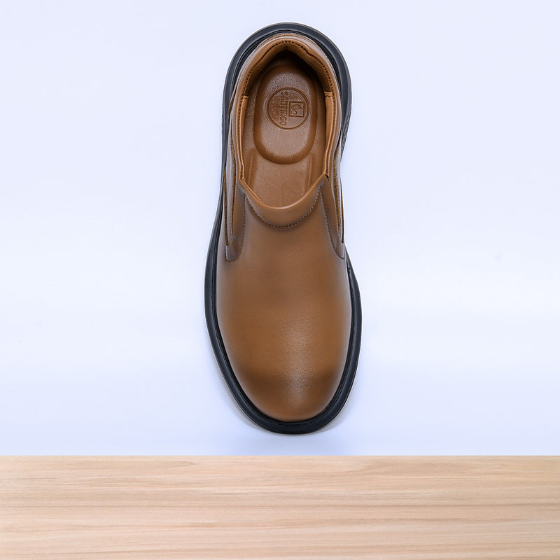142 Onex Camel