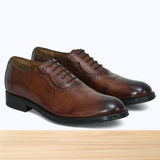 1764 Zantero Camel