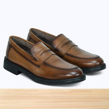 217 Venso Camel SNV