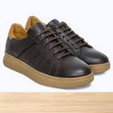 331 Arvo Marron