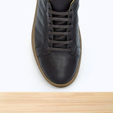 331 Arvo Marron