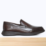 384 Zorin Camel