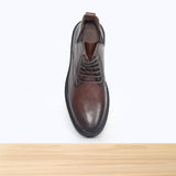 463 Salvano Camel