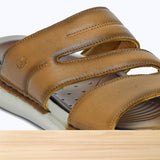 46S Miskon Camel