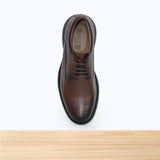 473 Rovico Camel