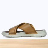 47S Sorin Camel