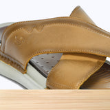 47S Sorin Camel