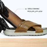 47S Sorin Camel