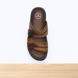 51S Rovin Camel