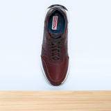 542 Zenix Marron