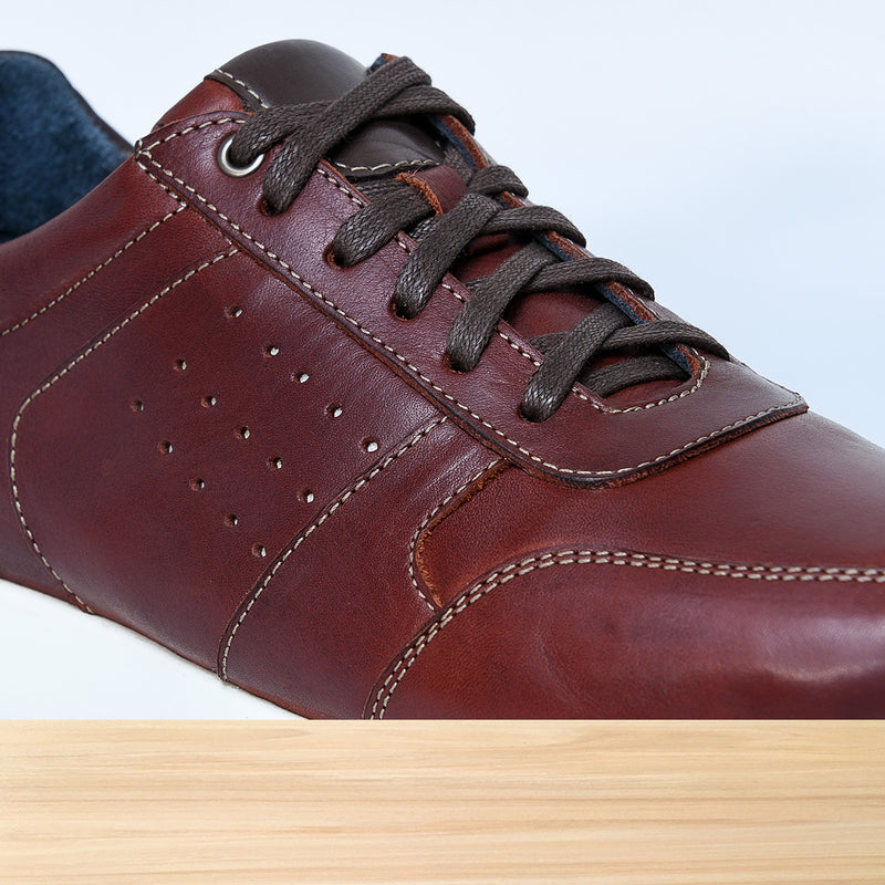 542 Zenix Marron