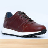 542 Zenix Marron