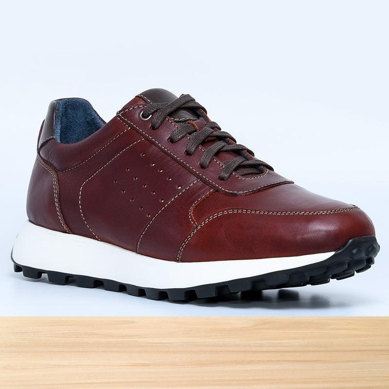 542 Zenix Marron