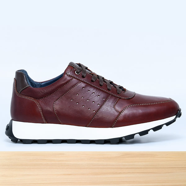 542 Zenix Marron