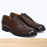 605 Falco Marron