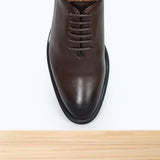 605 Falco Marron