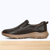 712 Hektor Marron