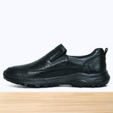 712 Hektor Noir