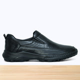 712 Hektor Noir