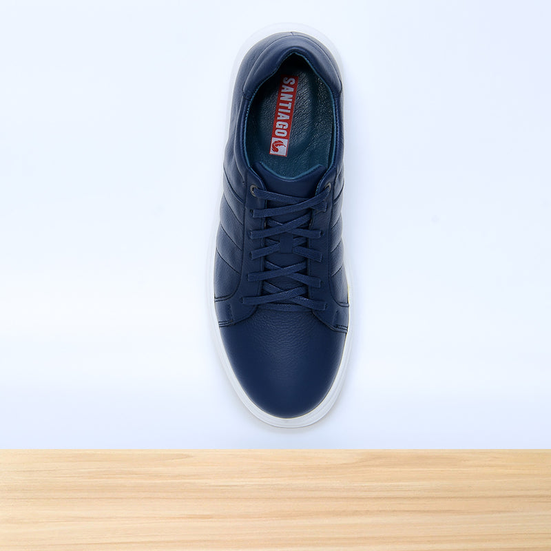 713 Dario Bleu