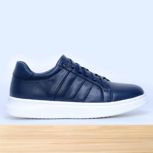 713 Dario Bleu