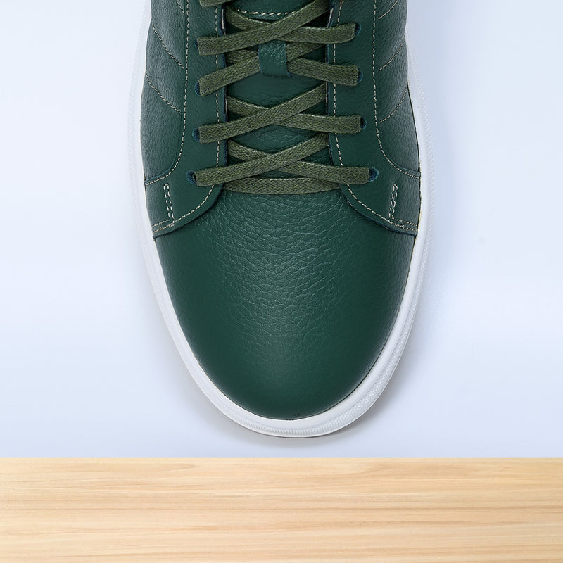 713 Dario Vert