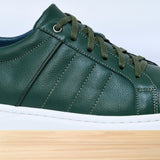 713 Dario Vert