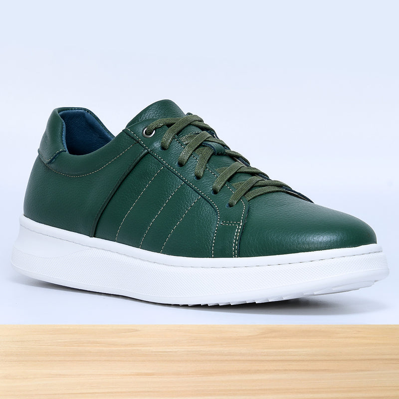 713 Dario Vert