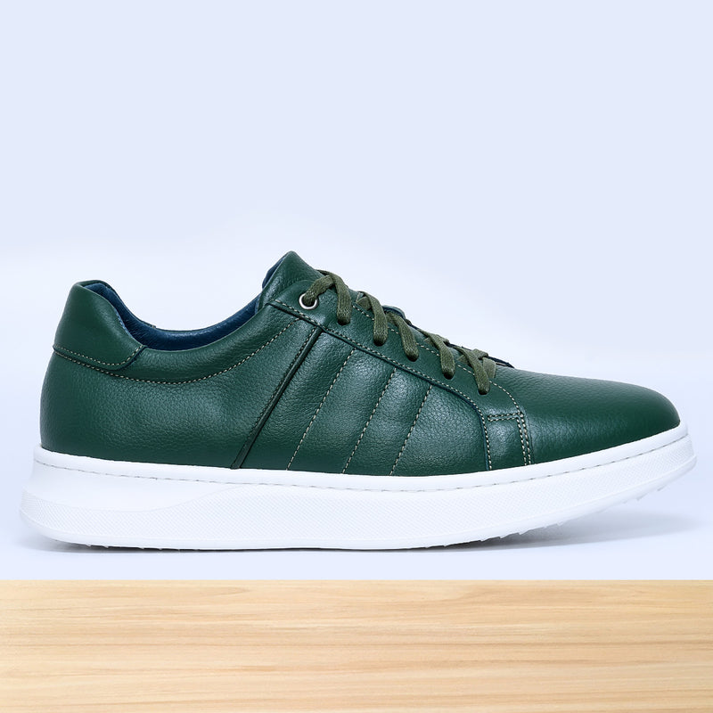 713 Dario Vert
