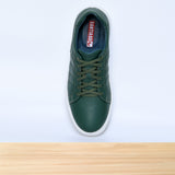 713 Dario Vert