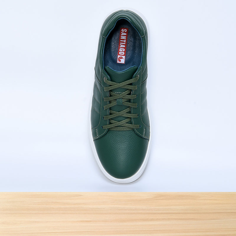 713 Dario Vert