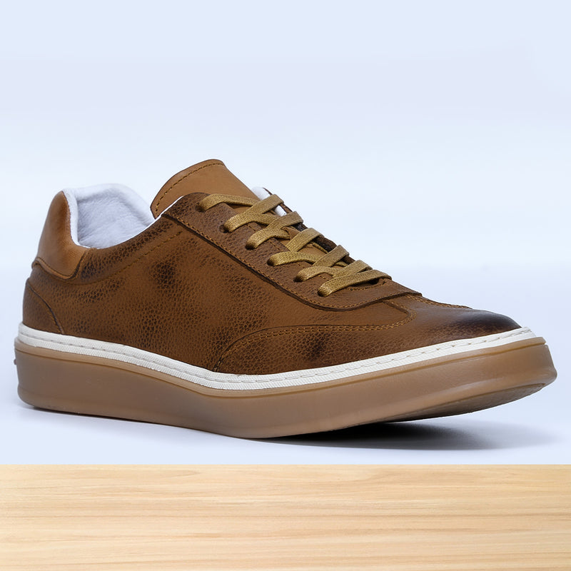 799 Navik Camel