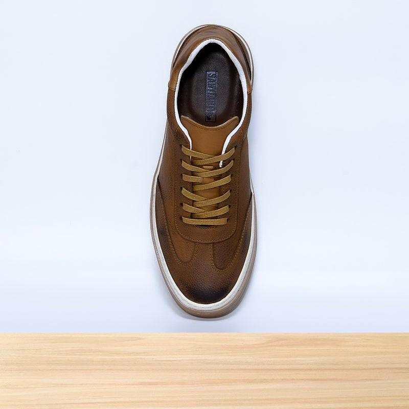 799 Navik Camel