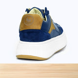 8124 Faro Bleu Marine NV