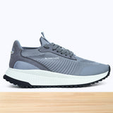 8516 Domaro Gris