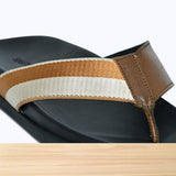 98S Wexor Camel