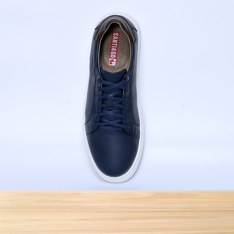 523 Grinto Bleu
