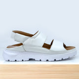 320 Raffo Blanc